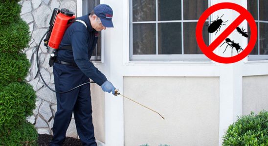 Akçakale Hamam Böceği İlaçlama böcek ilaçlama ve haşere kontrolü — ilaclama-tr.com